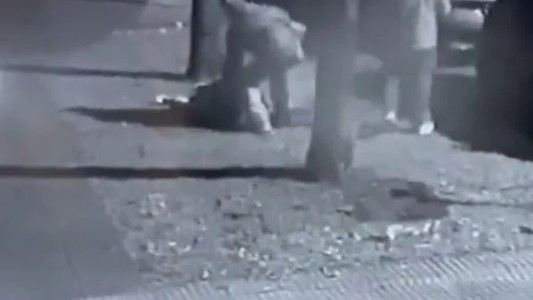 Ramos Mejía: salvaje asalto a una mujer mientras paseaba a su perro