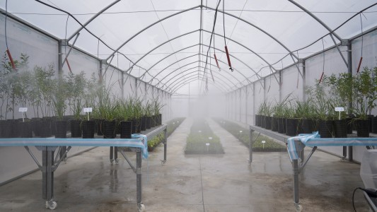 Inauguraron en el complejo ambiental del Ceamse el invernadero "Azucena Villaflor"