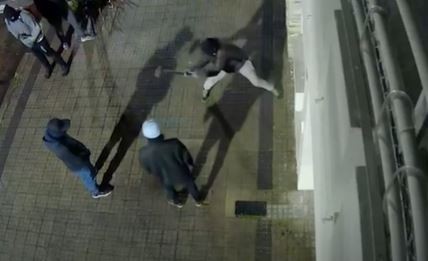 Video: Cinco delincuentes intentaron ingresar a mazazos a robar a una vivienda de La Plata