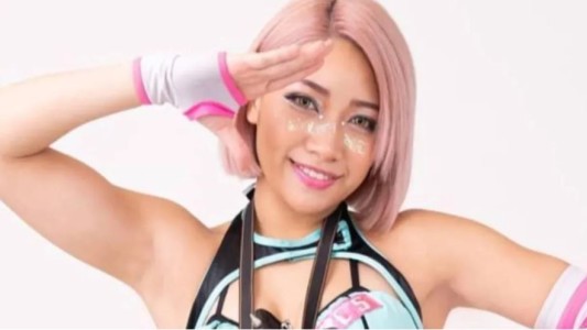 Japón condena con un año de prisión a los acosadores cibernéticos tras suicidio de estrella de TV