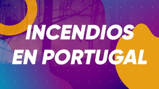 Incendios en Portugal #BuenFlash