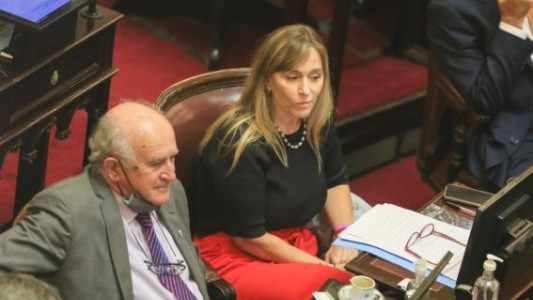 Con aval de Cristina, el kirchnerismo duro trabaja en el Senado en un proyecto propio de Ingreso Universal