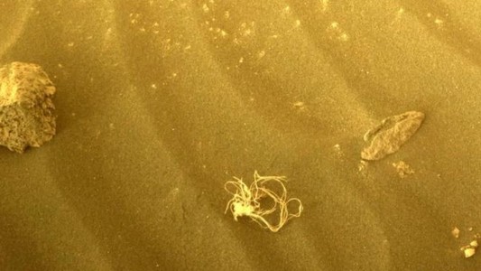 El rover Perseverance de la NASA captó una misteriosa imagen en la superficie de Marte