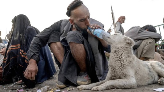 Fotos: el drama de los adictos a la heroína en la Afganistán de los talibanes