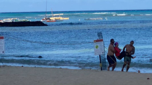 Nadadora vs foca: susto y piñas en el mar - #FlashChat