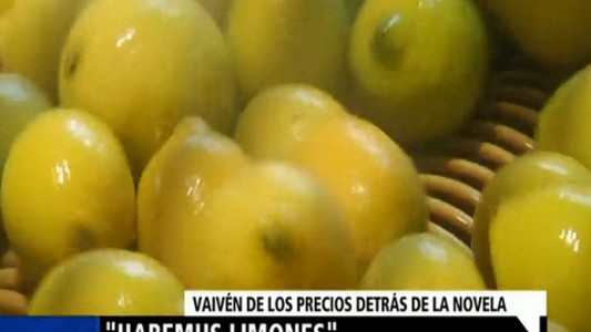Habemus limones