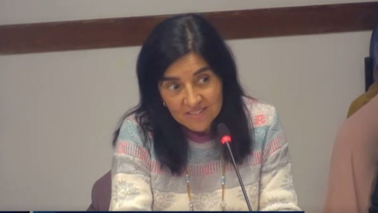 Diputados comenzó el debate sobre el proyecto de Alcohol Cero al Volante