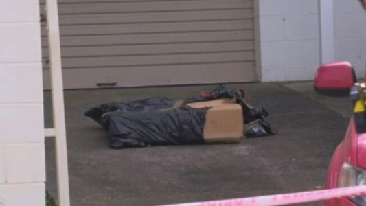 Compraron valijas en una subasta: al llegar a su casa, las abrieron y encontraron restos de dos nenes