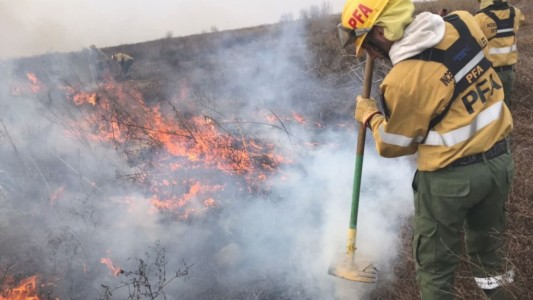 Alberto Fernández lamentó los incendios en el Delta y afirmó: "No vamos a permanecer pasivos"