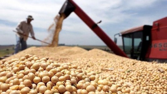 Exportaciones: el Gobierno oficializó el programa que ubica el "dólar soja" a 200 pesos