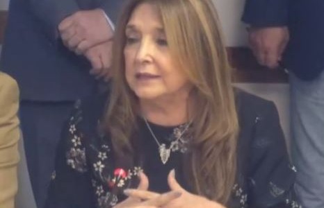 Diputados: Marisa Graham presentó su informe de gestión al frente de la Defensoría de los Derechos de la Niñez
