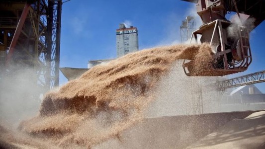 "Dólar soja": los exportadores ya liquidaron los US$ 5.000 millones que habían prometido al Gobierno para septiembre