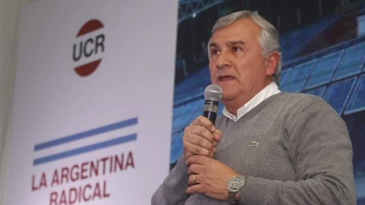 "Lesiona la esperanza": comunicado de la UCR tras las críticas de Manes a Macri