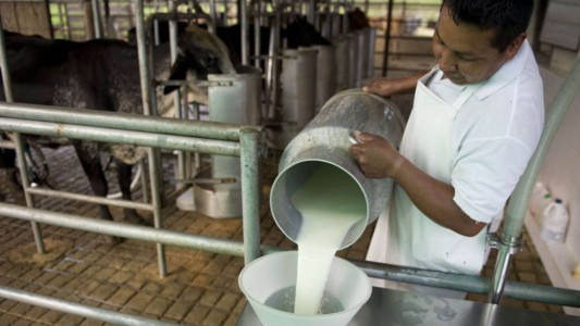 El ministro de Agricultura admitió que el litro de leche en Argentina "es más que caro"