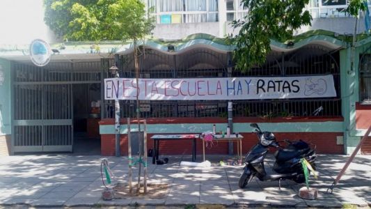 La Defensoría del Pueblo recibió denuncias por ratas en al menos 11 escuelas porteñas