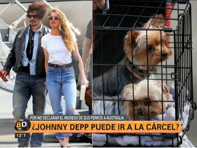 Problemas para Johnny Depp en Australia