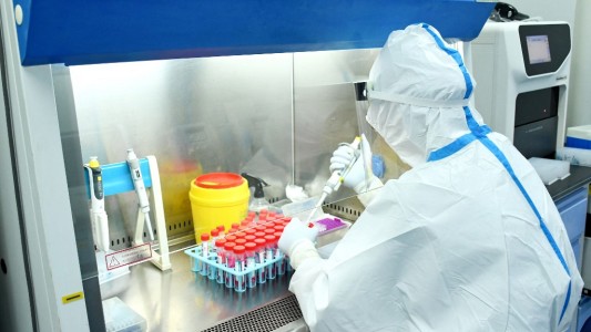 La OMS investiga 25 familias de virus y bacterias que pueden provocar futuras pandemias