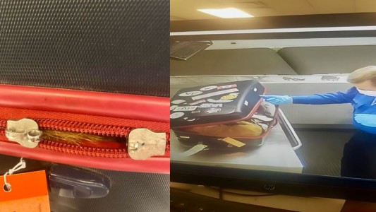 Encontraron a un gato dentro de una valija despachada en un aeropuerto