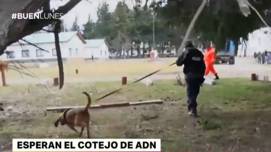 Desaparición de Maldonado: el Gobierno confirmó que investigan a siete gendarmes