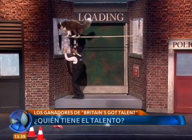 Un perro se llevó el premio al talento