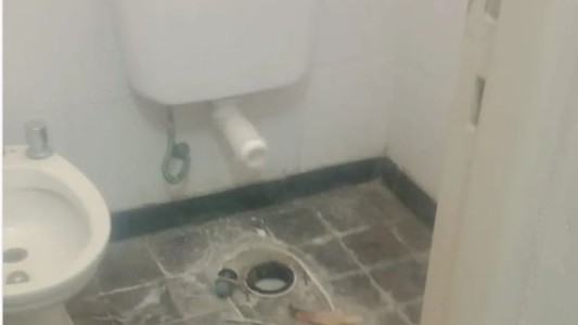 Se robaron inodoros de los baños Hospital Interzonal en Mar del Plata