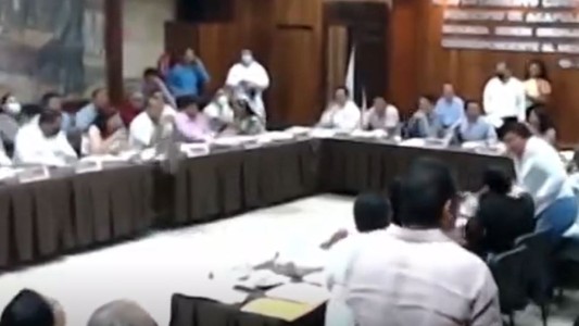 Dos mapaches interrumpieron una sesión en el Cabildo de Acapulco