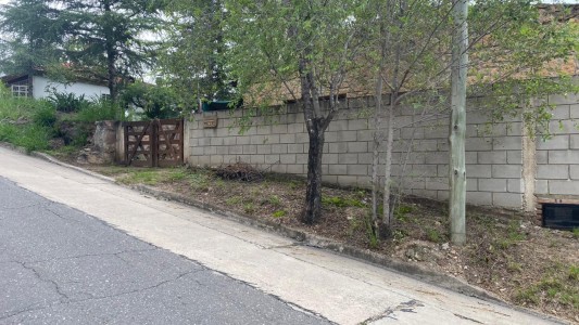 Usaron fotos de su casa para estafar turistas