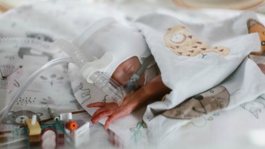 Madre con siete hijos dio a luz quintillizos