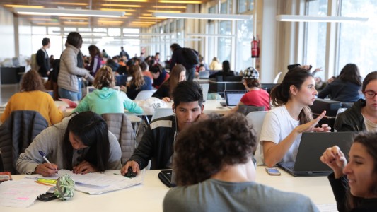 Récord de participación en las actividades de orientación vocacional de la UBA