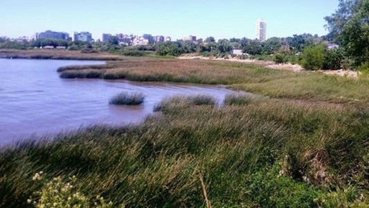 Lo detienen por intentar vender un terreno estatal con salida al río en Vicente López