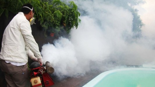 Alerta por chikungunya en Paraguay: acumula más de 24 mil casos