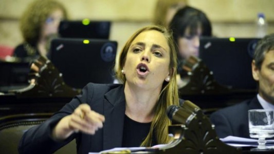 ¿Quién es la diputada kirchnerista que votó a favor del desafuero de De Vido?