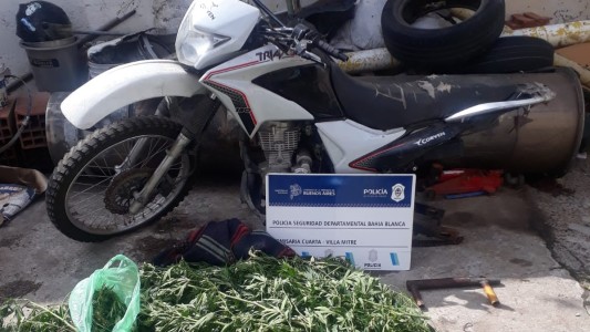 Robaron plantas de marihuana de un patio y ahora enfrentan tres causas