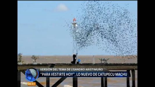 "Para vestirte hoy": lo nuevo de Catupecu Machu