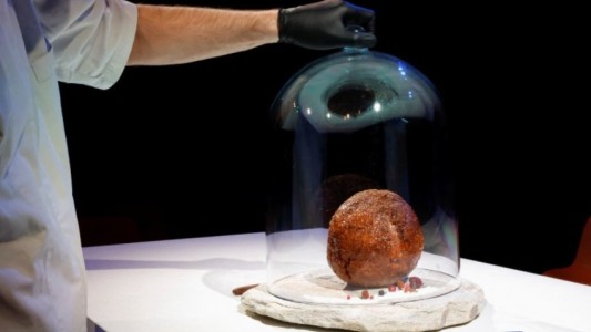 Elaboraron una albóndiga gigante con carne de mamut