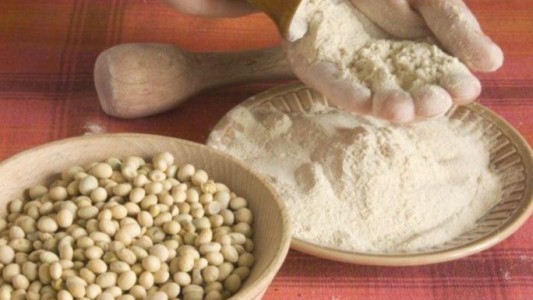 Por primera vez en la historia, Brasil desplazó a la Argentina como primer exportador mundial de harina de soja