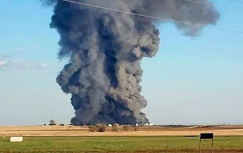 Más de 18.000 vacas murieron tras explosión e incendio en una granja de Estados Unidos