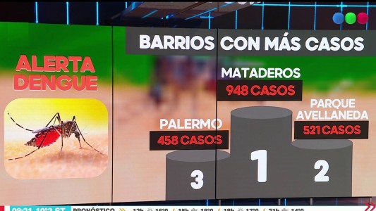 Crecen los casos de dengue: los barrios porteños más afectados