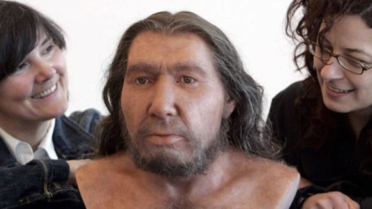 Identifican presencia de ADN neandertal en la configuración actual del rostro de latinoamericanos