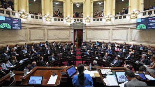El Senado aprobó el paquete de leyes económicas del Gobierno