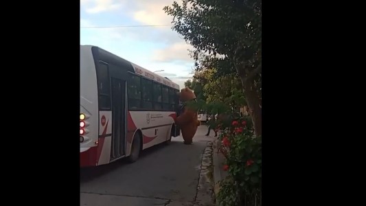 Intentó subir a un colectivo disfrazado de "Oso Yogui"