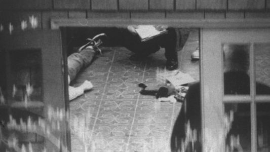 La familia de Kurt Cobain no quiere que las fotos de su muerte se publiquen