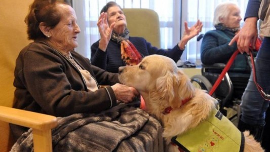 Aceptarán las visitas con mascotas en los geriátricos porteños