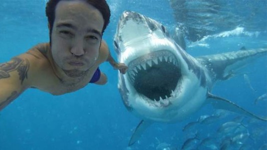 En el 2015 ya hubo más muertos por selfies que por ataques de tiburones