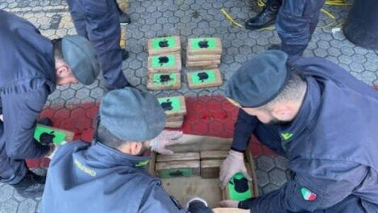 Secuestraron en Italia 2,7 toneladas de cocaína disimulada en un cargamento de bananas