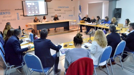 Diputados: avanza el proyecto de regulación de acompañamiento terapéutico