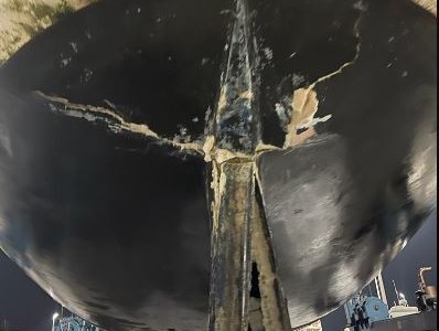 España: las tripulaciones de los veleros deben cuidarse de las orcas