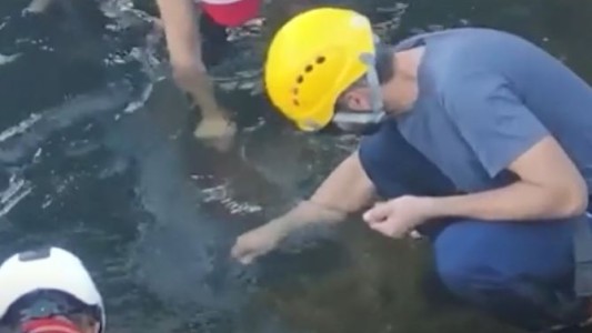 Cataratas: Recolectaron 160 kilos de monedas del río Iguazú