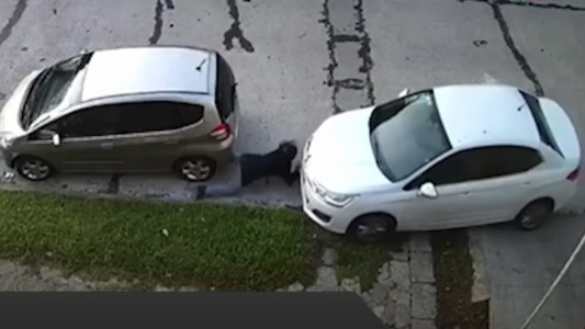 Atropellada por su propio auto: lo había dejado estacionado en una pendiente