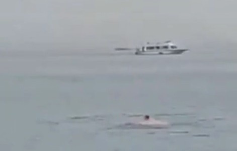 Aterrador video: un tiburón devoró a un hombre en Egipto